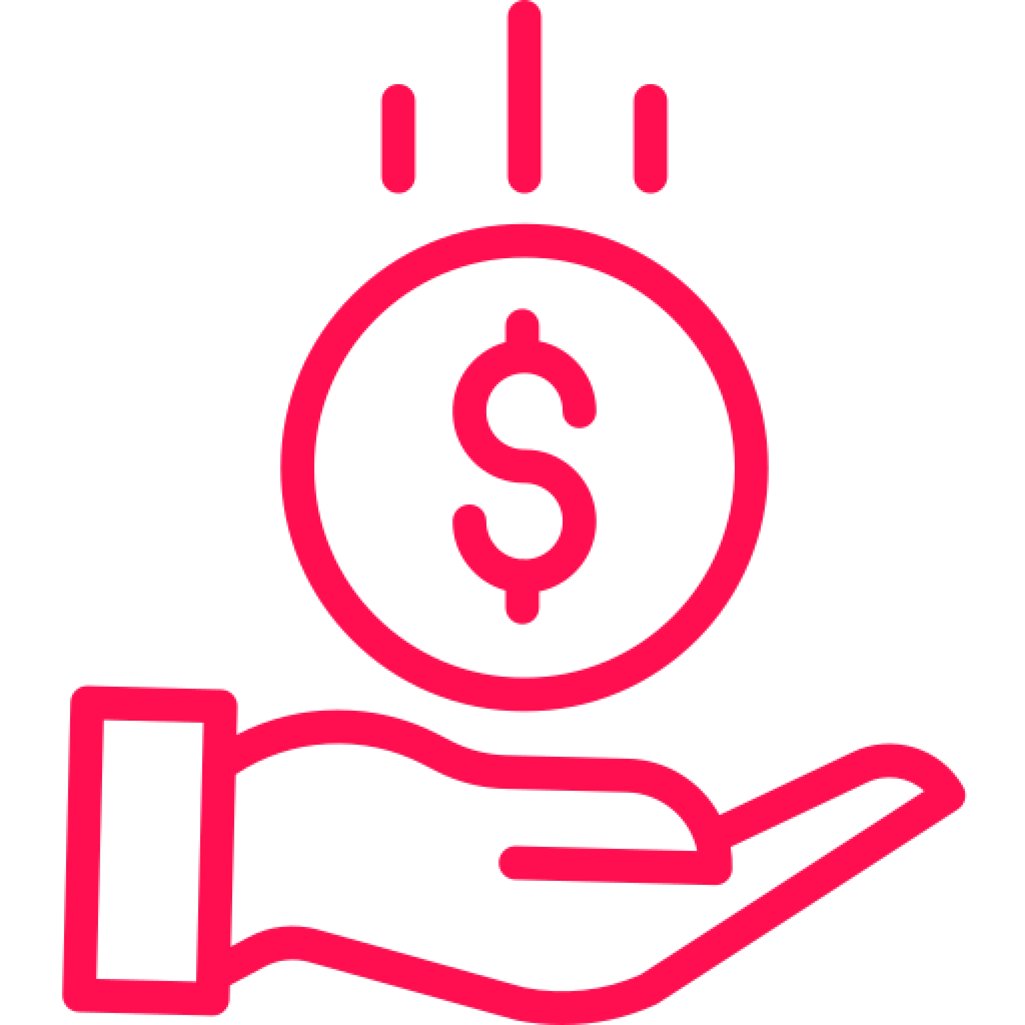 Pricing icon